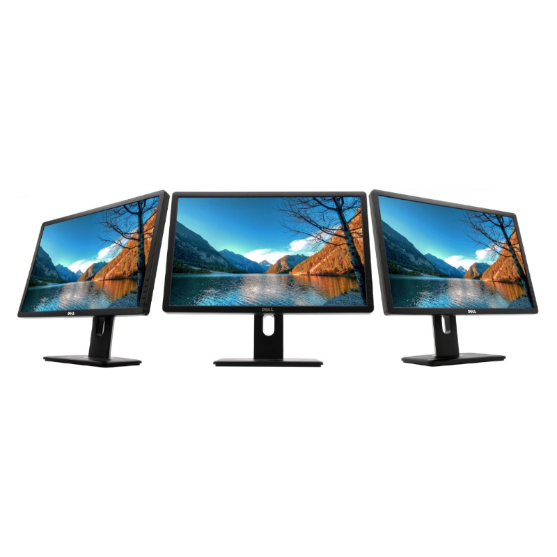 Dell P2213 Professional 22'' LED-Backlit LCD Monitor3