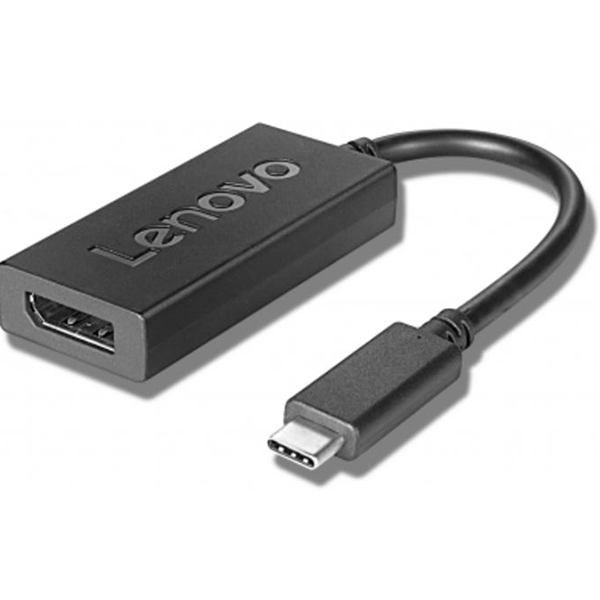 Lenovo USB-C to Display Port Adapter (GX90Q93306)0