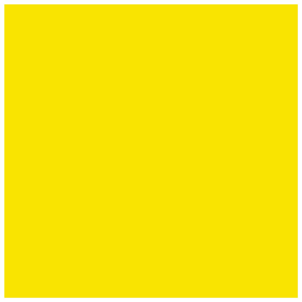 Visico Paper Backdrop 2.75 x 10m Bright Orange
