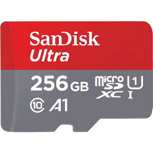 SanDisk MicroSD CLASS 10 120MBPS 256GB without Adapter (SDSQUA4-256G-GN6MN)