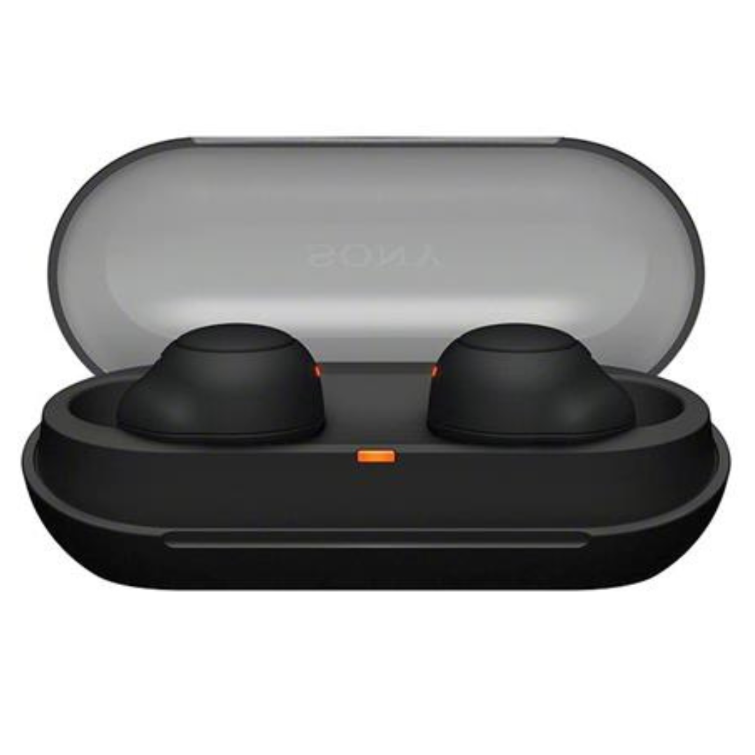 Sony WF-C500 True Wireless In-Ear Headphones2