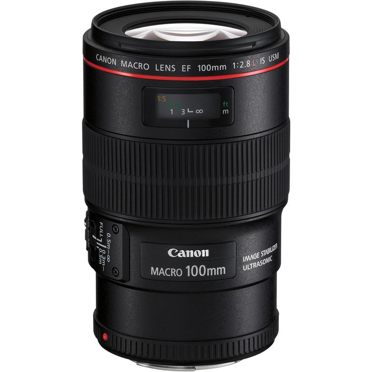 Canon EF 100mm f 2.8 L macro IS USM Lens 