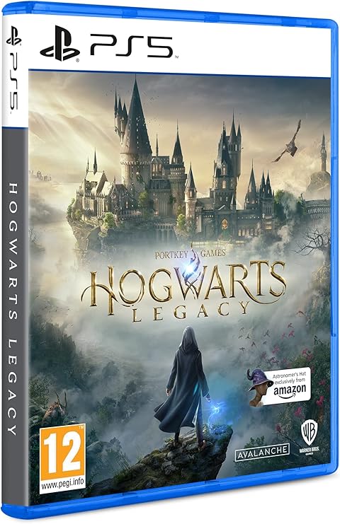 Hogwarts Legacy PS53