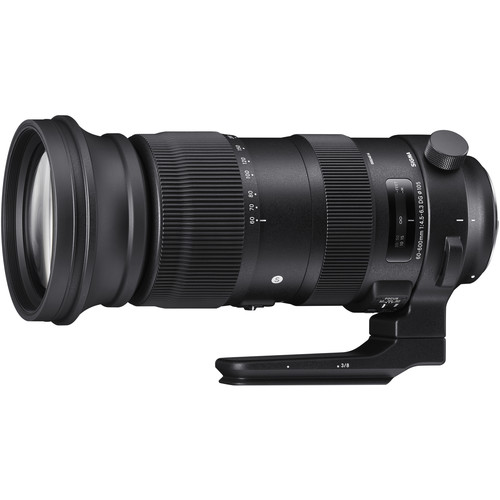 Sigma 60-600mm f/4.5-6.3 DG OS HSM Sports Lens (Canon EF)4
