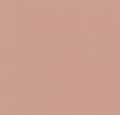 Visico Solid Color Background-Cocoa (3 x 5 m)0