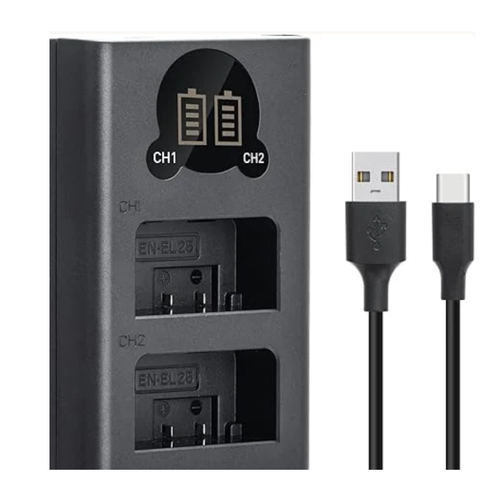 Caisi Canon LP-E10 Dual Battery charger3