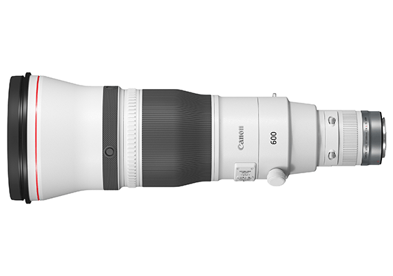 Canon RF 600mm f/4 L IS USM Lens