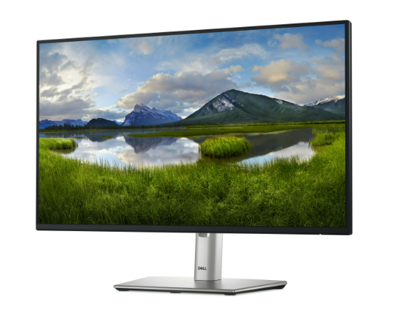 Dell P2425HE 23.8