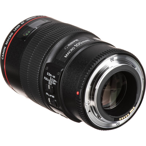 Canon EF 100mm f/2.8L Macro IS USM Lens3