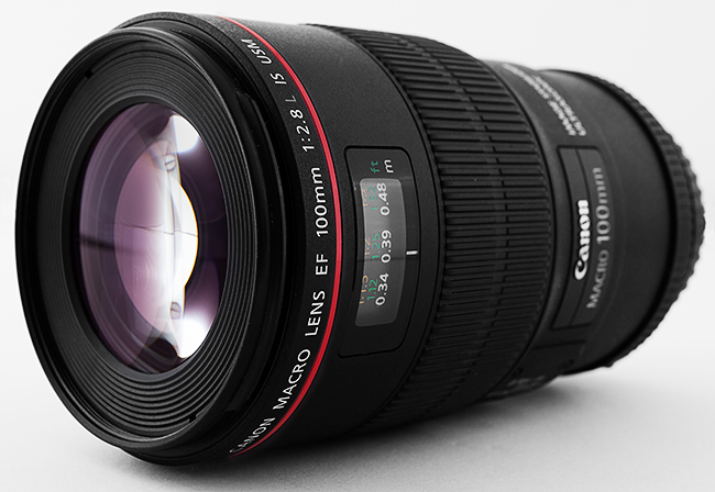 Canon EF 100mm f/2.8L Macro IS USM Lens4