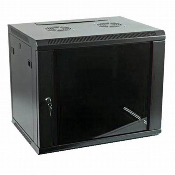 Generic 12U Networking Cabinet 600 x 450