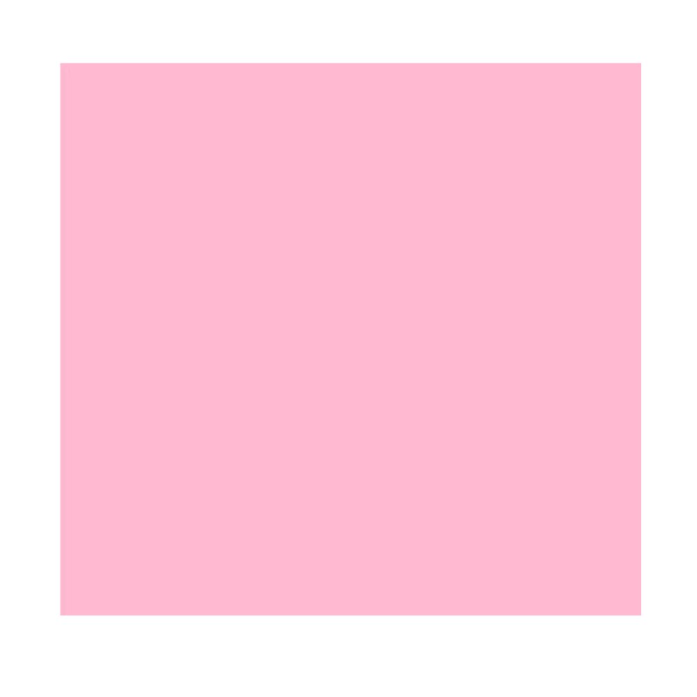Visico Solid Color Background-Infant Pink (3 x 5 )