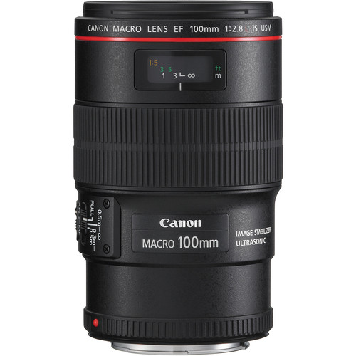 Canon EF 100mm f 2.8 L macro IS USM Lens 