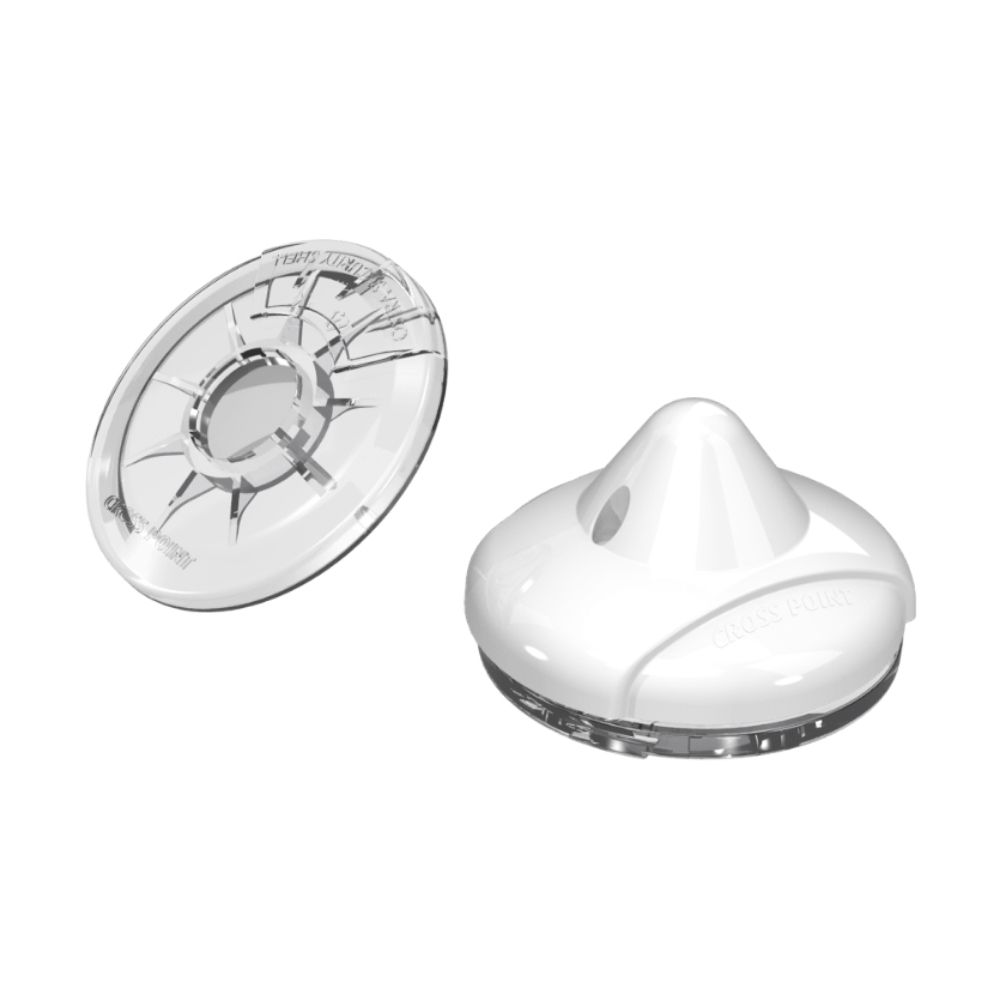 Cross Point Ostra & Shell D402