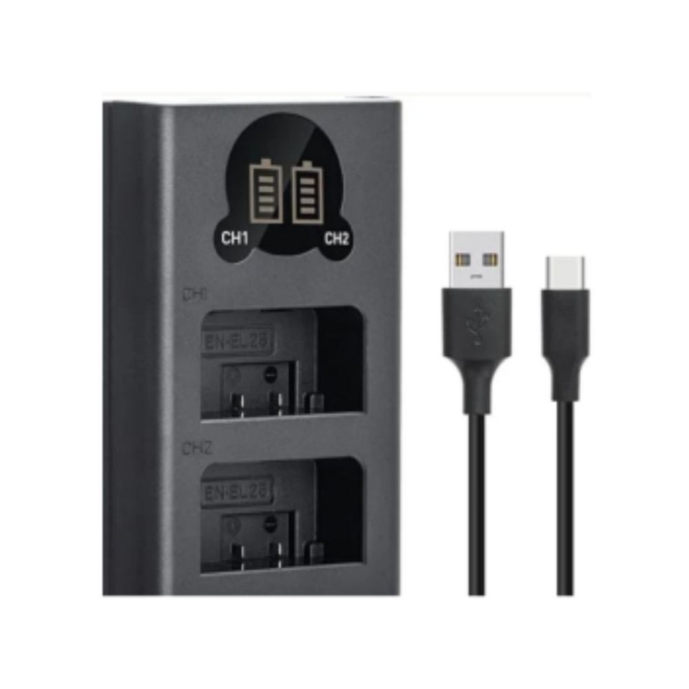 Caisi Canon LP-E10 Dual Battery charger3