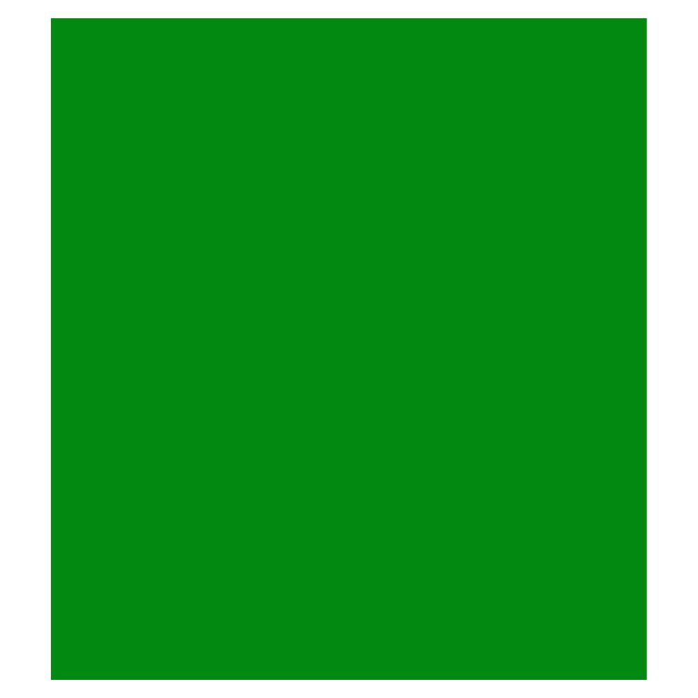 Visico Solid Color Background-Green (3 x 6 m)