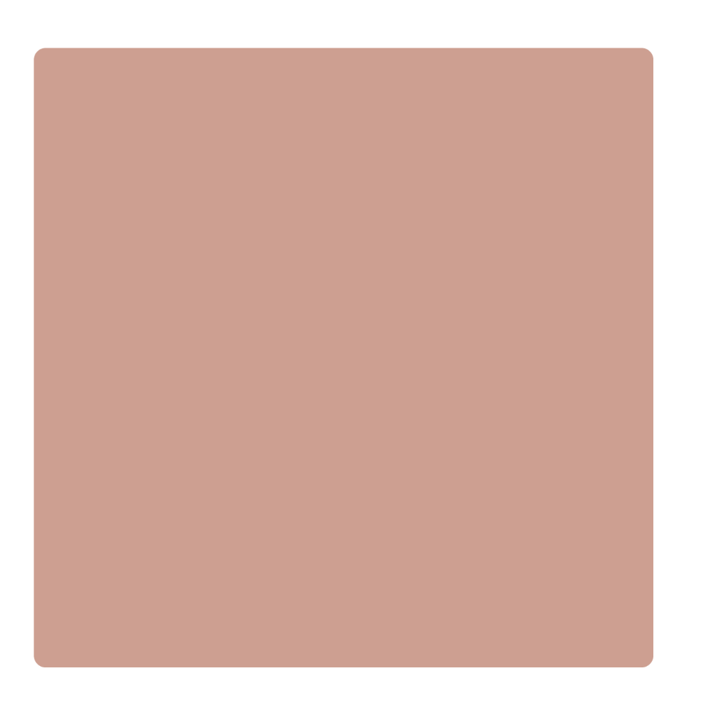 Visico Solid Color Background-Cocoa (3 x 5 m)0