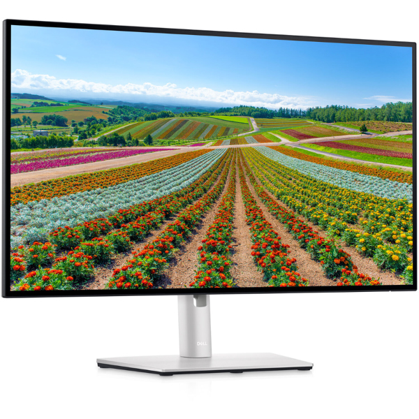 Dell P2422H 23.8 Full HD display with DisplayPort-P2422H
